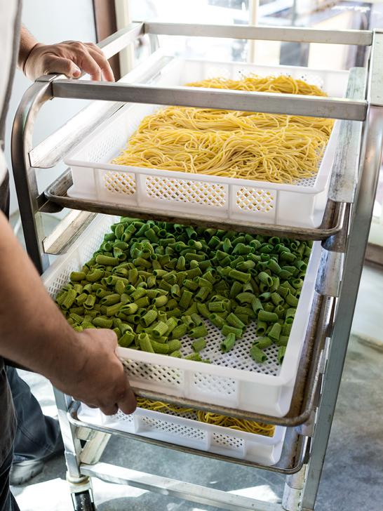 tray4-546×728 Pasta trays