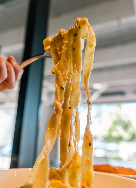 Flat pasta twirled on a fork